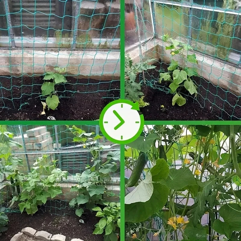 Pflanzenspalier-Pergolen, strapazierfähiges Polyester-Ranknetz, Gartenspaliernetz mit quadratischen Maschen für Kletterpflanzen, Gemüse,
