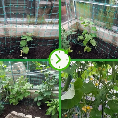 Pflanzenspalier-Pergolen, strapazierfähiges Polyester-Ranknetz, Gartenspaliernetz mit quadratischen Maschen für Kletterpflanzen, Gemüse,