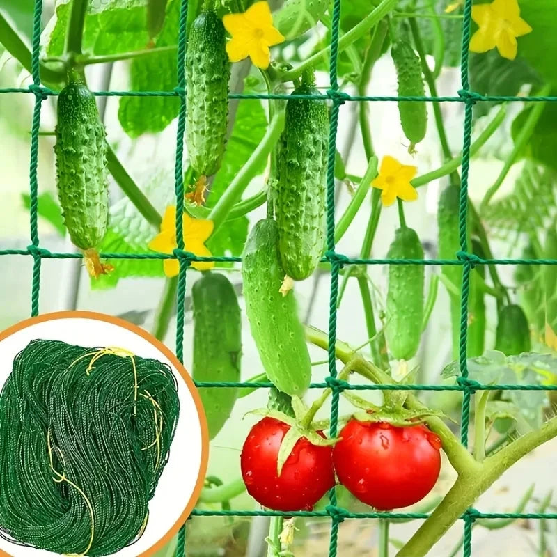 Pflanzenspalier-Pergolen, strapazierfähiges Polyester-Ranknetz, Gartenspaliernetz mit quadratischen Maschen für Kletterpflanzen, Gemüse,