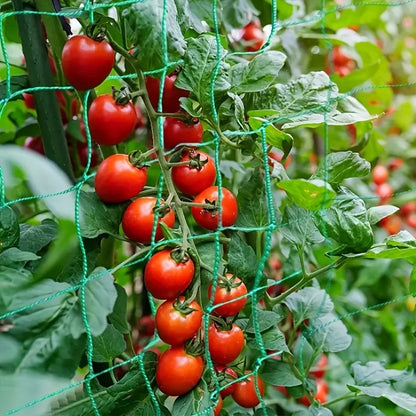 Pflanzenspalier-Pergolen, strapazierfähiges Polyester-Ranknetz, Gartenspaliernetz mit quadratischen Maschen für Kletterpflanzen, Gemüse,