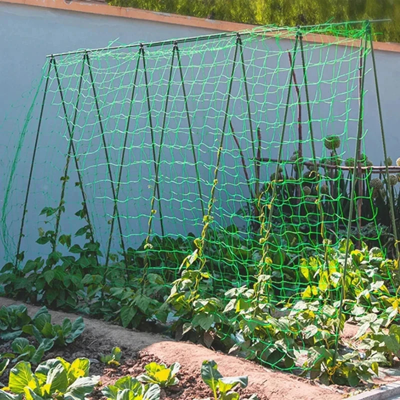 Pflanzenspalier-Pergolen, strapazierfähiges Polyester-Ranknetz, Gartenspaliernetz mit quadratischen Maschen für Kletterpflanzen, Gemüse,